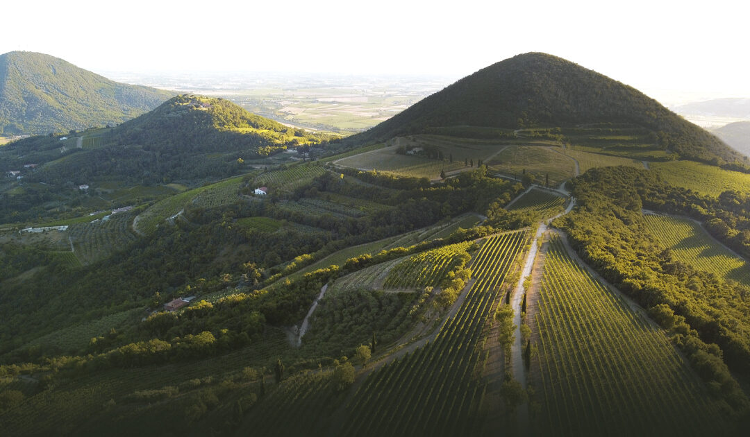 LE VOLPI & MONTE FASOLO